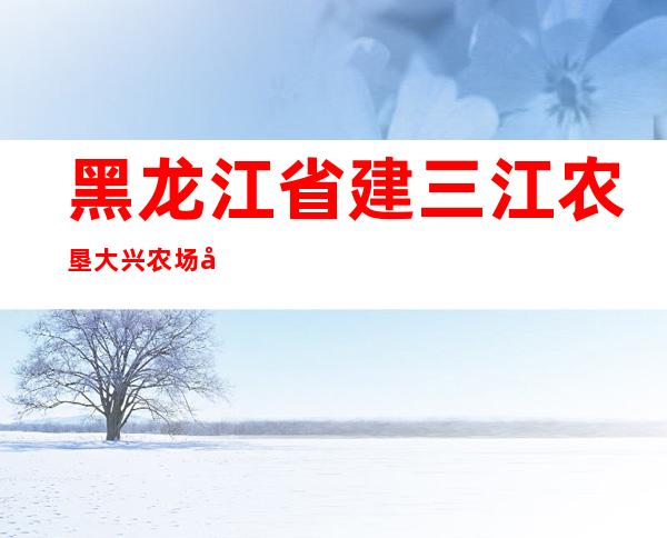 黑龙江省建三江农垦大兴农场客运站